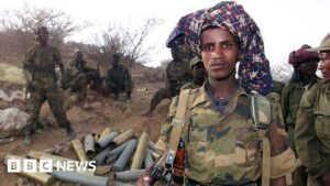 Understanding the Eritrean-Ethiopian War: Causes and Impact