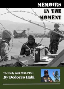 Writing PTSD: War Stories Told in Memoirs and Autobiographies