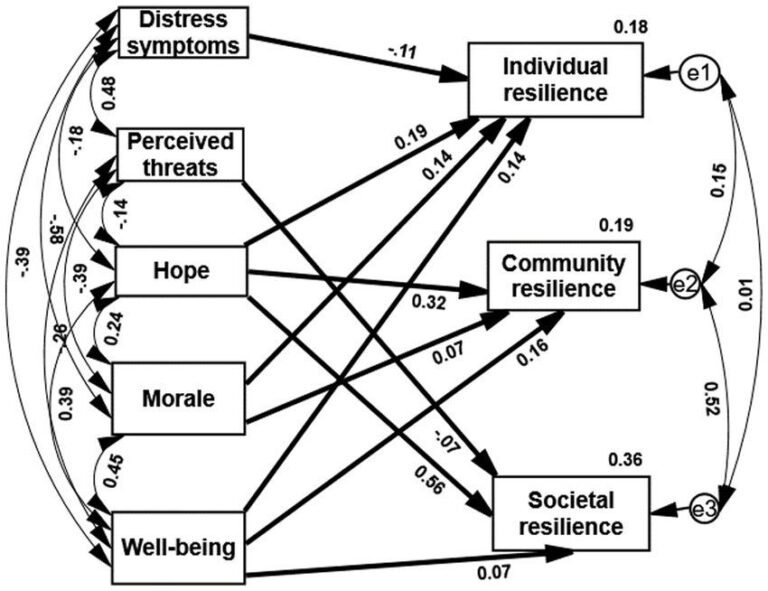 Building Strength: Psychological Resilience in War Survivors