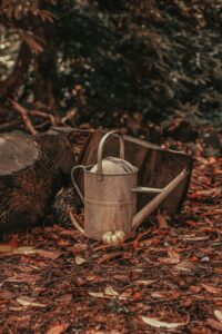 The War of the Oaken Bucket: A Historic Italian Clash