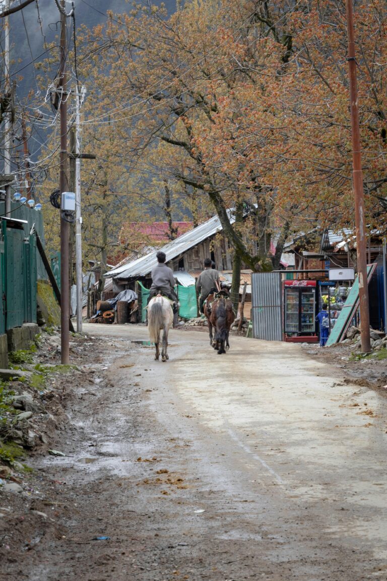 Latest Developments in Kashmir Border Skirmishes Reported