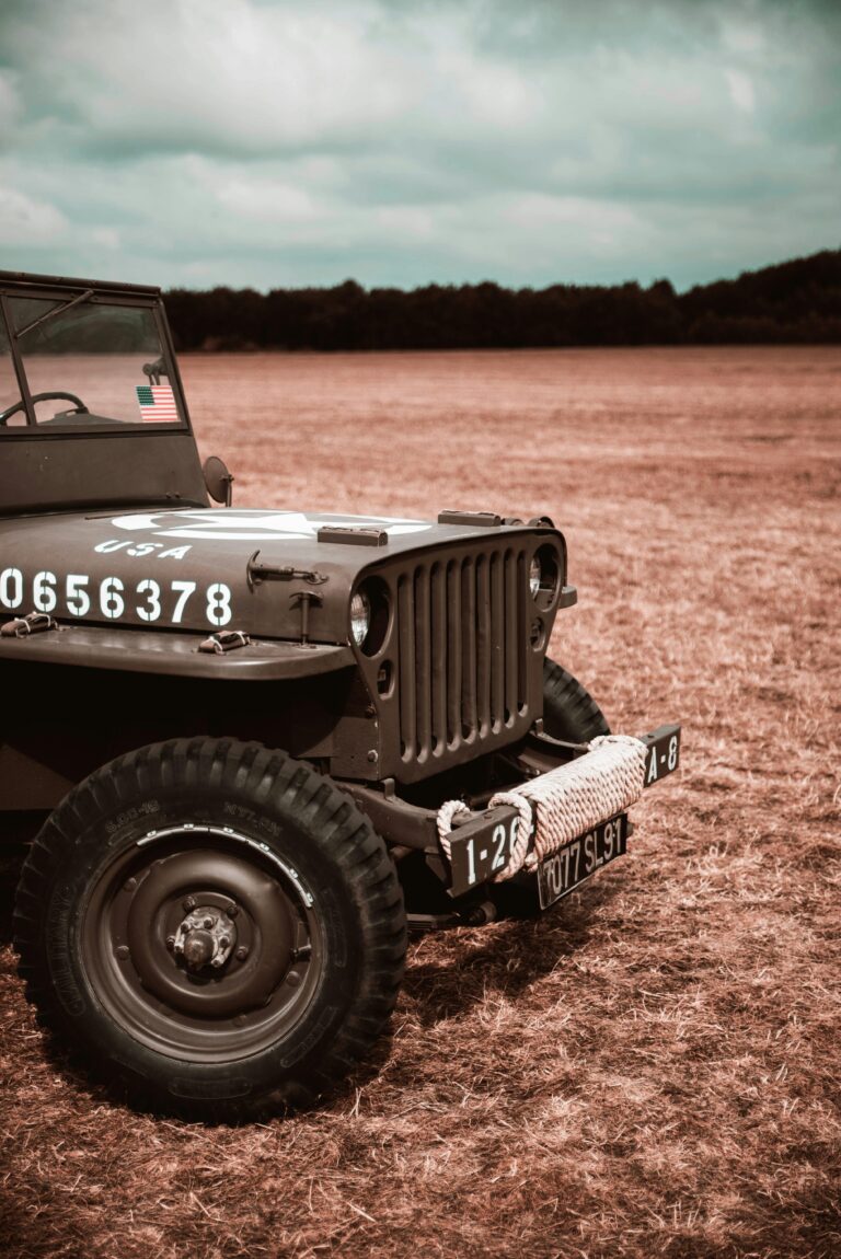 Stories of Courage: WWII Soldiers Who Changed History