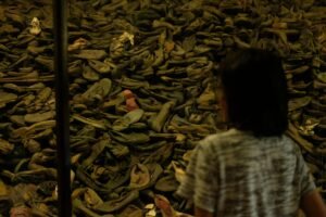 How War Shapes Education: Lessons Beyond the Classroom