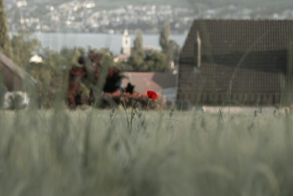 The Falklands War: Britain’s Remote Clash Uncovered