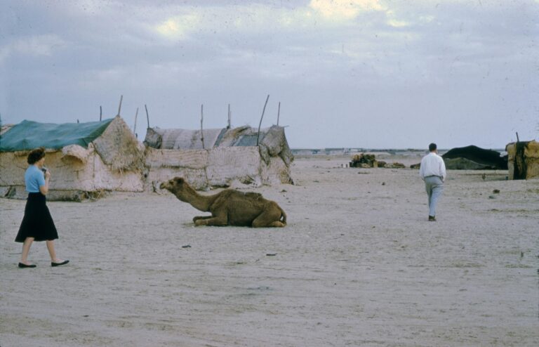 Understanding the Somali Civil War: Causes and Impact Explained