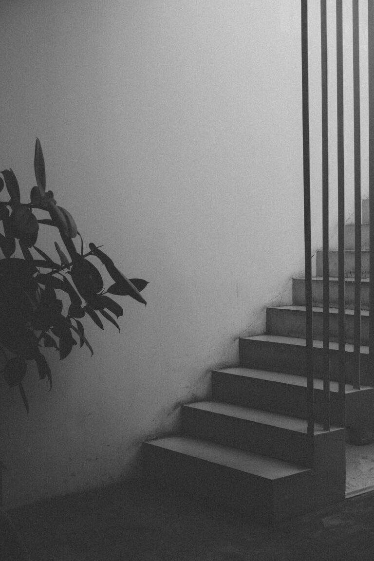 Coping with War-Induced Anxiety and Depression: A Friendly Guide
