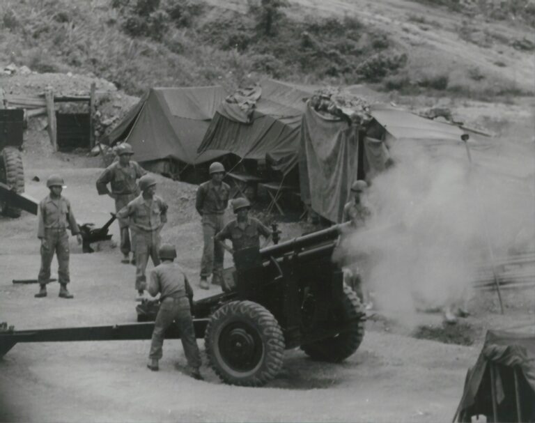 The Vietnam War: Politics, Protest, and Lessons from Combat