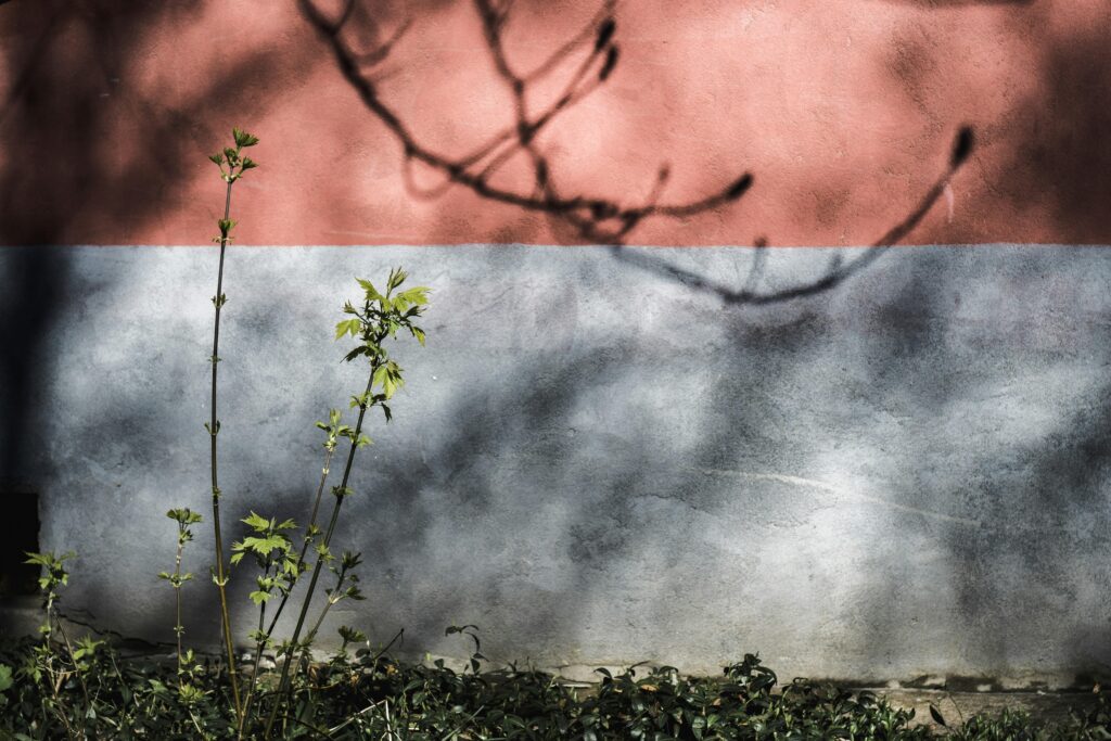 Healing Hearts: Coping with War-Related Trauma Together