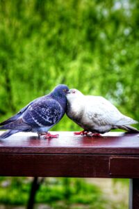 The Delicate Politics Behind Peace Negotiations Today