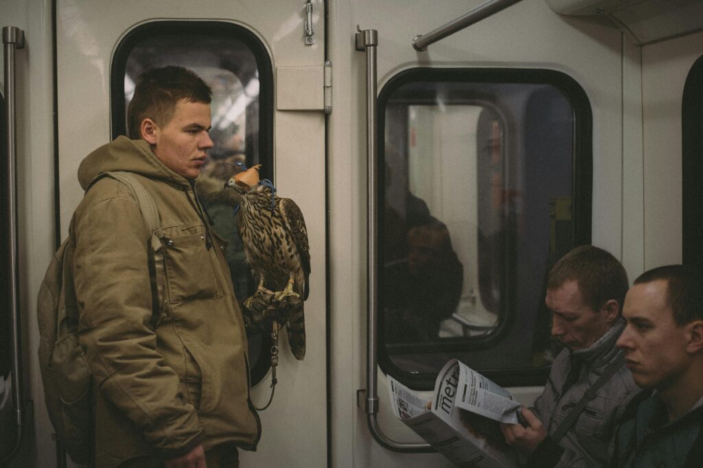 A Soldier’s Journey Home: Navigating Civilian Life Changes