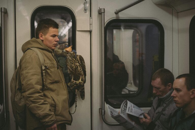 A Soldier’s Journey Home: Navigating Civilian Life Changes