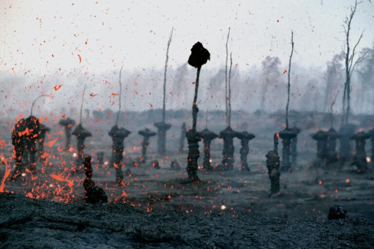 War Poetry: Powerful Voices Straight from the Battlefield