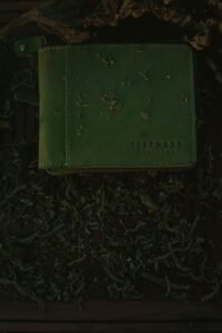 Life on the Front Lines: A Soldier’s True Diary Stories