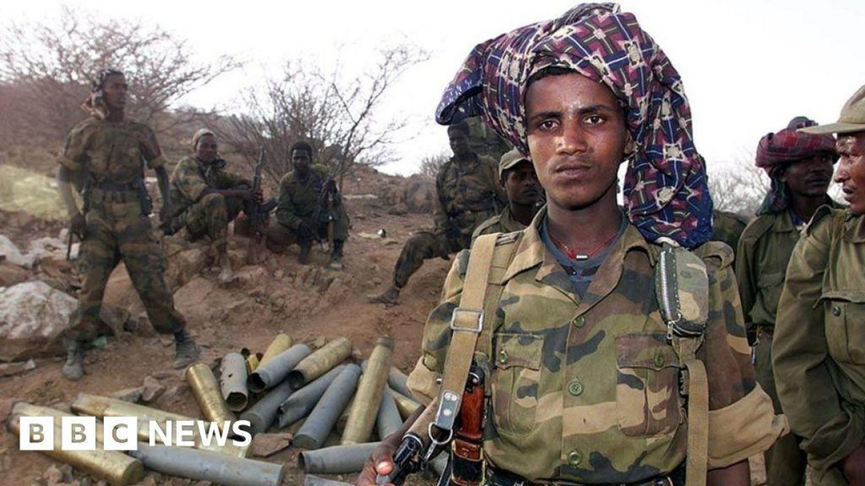 Understanding the Eritrean-Ethiopian War: Causes and Impact