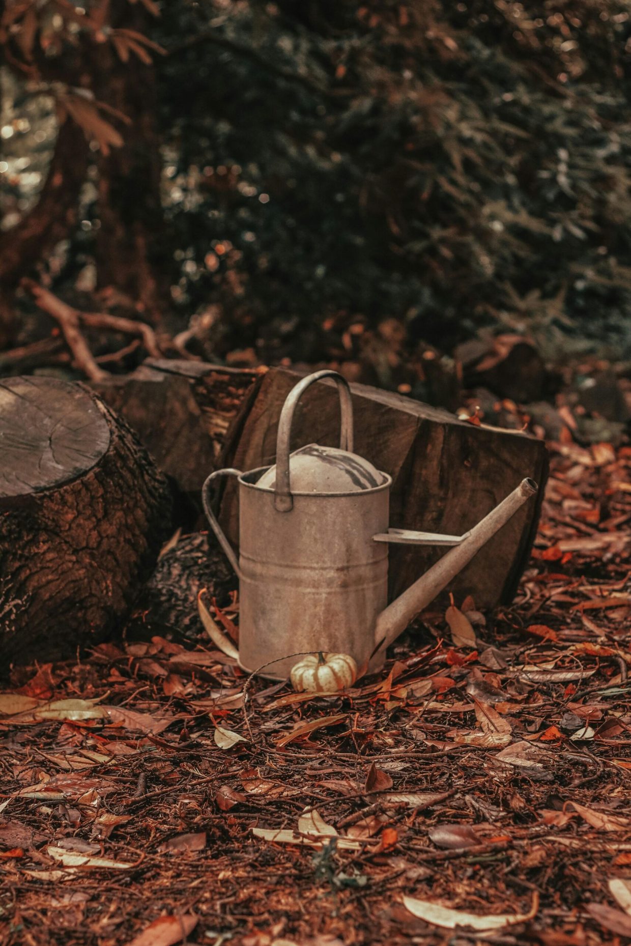 The War of the Oaken Bucket: A Historic Italian Clash