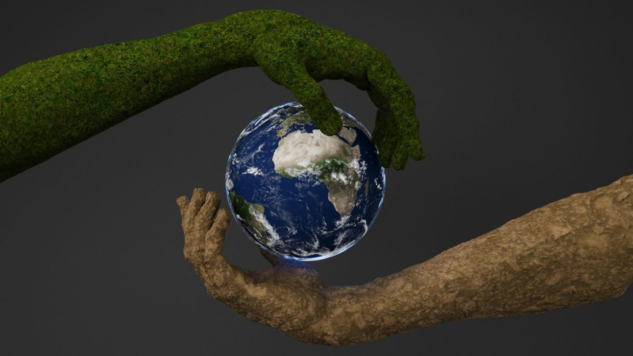 Scorched Earth Policy: Understanding the Strategy of Destruction