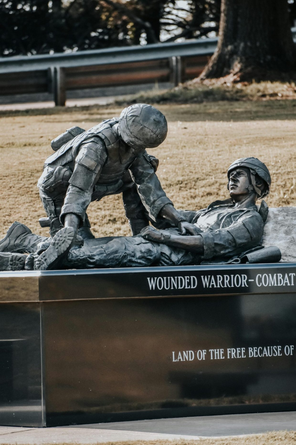 The Emotional Journey: Veterans Reflect on Combat’s Impact
